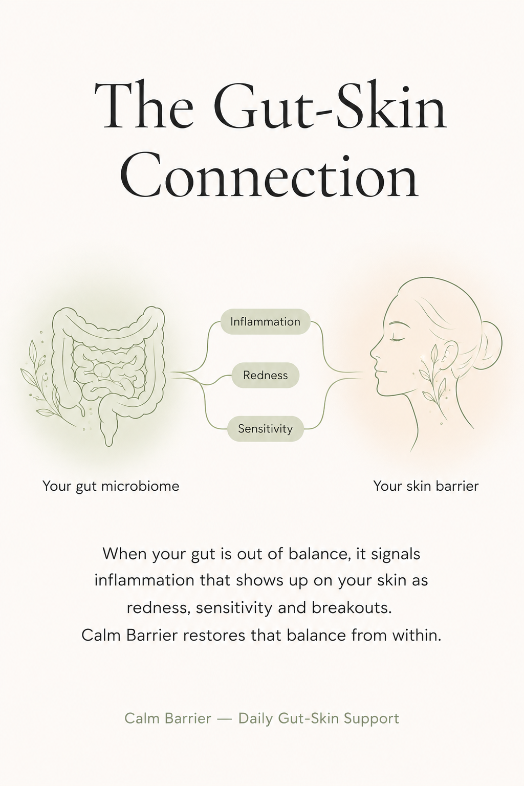 Calm Barrier – Daily Gut - Skin Support
